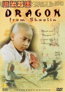 Dragon from Shaolin