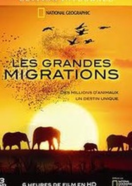 National Geographic: Великие миграции