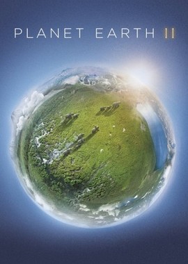 BBC: Планета Земля 2