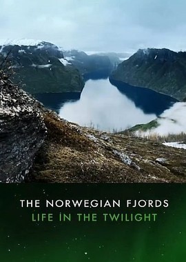 Норвежские фьорды. Мир чудес