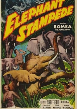 Elephant Stampede