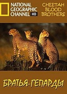 Братья-гепарды