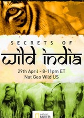 National Geographic: Секреты дикой Индии