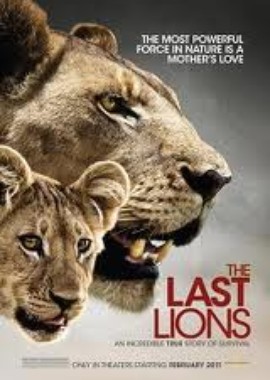 National Geographic: Последние львы