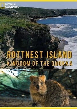 Королевство кенгуру на острове Роттнест