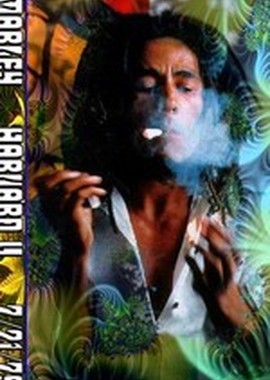 Bob Marley and The Wailers - Amandla Festival