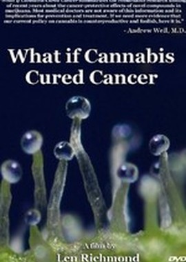 Что если марихуана лечила бы рак