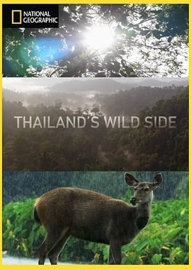 Дикие места Таиланда