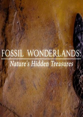 Страна чудесных ископаемых - тайные сокровища природы
