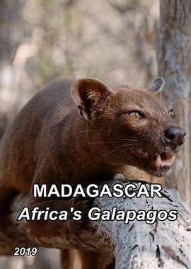 Мадагаскар: Африканский Галапагос
