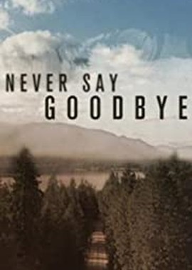 Никогда не говори "прощай"