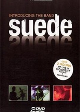 Suede: Introducing The Band