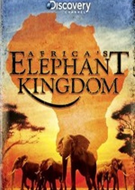 Discovery: Африка - королевство слонов