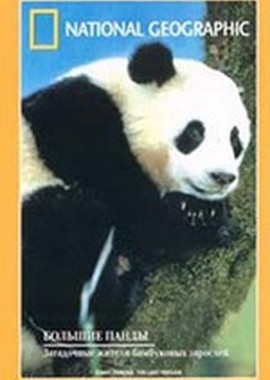 National Geographic: Гигантские Панды. Последнее убежище
