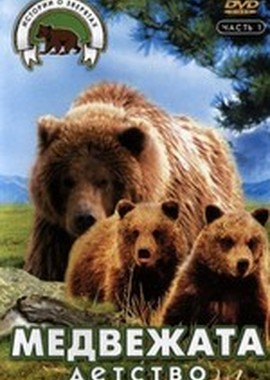 Истории о зверятах: Медвежата. Детство