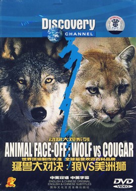 Nat Geo Wild: Пума против волка