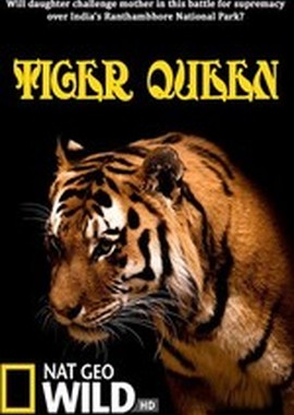 National Geographic : Королева тигров