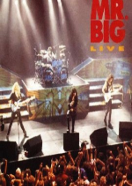 Mr. Big - Live in San Francisco