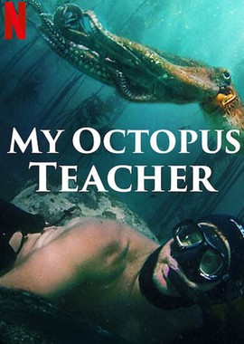 Мой учитель - осьминог