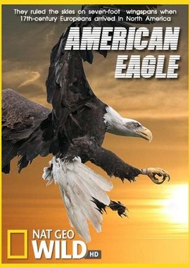 National Geographic: Белоголовый орлан