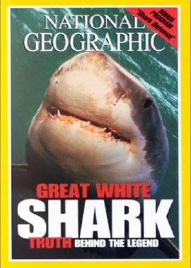National Geographic. В поисках акул. Самые большие челюсти, Экспедиция - Белая акула