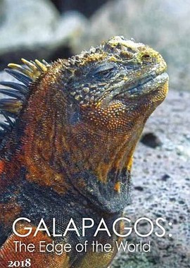 Галапагосы: На краю Земли