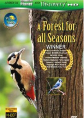 Wild Asia: A Forest for All Seasons