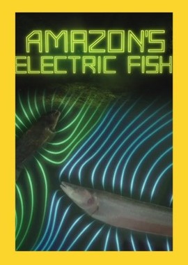 Амазонская электрическая рыба