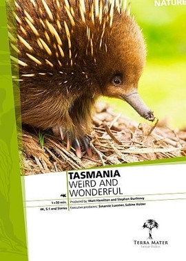 Тасмания: удивительная и прекрасная