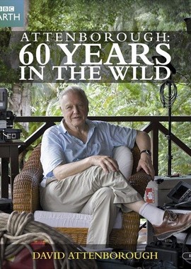 BBC. Аттенборо: 60 лет с дикой природой