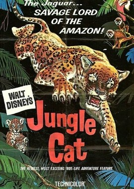 Дикая кошка джунглей