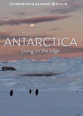 Антарктика. Живущие на грани