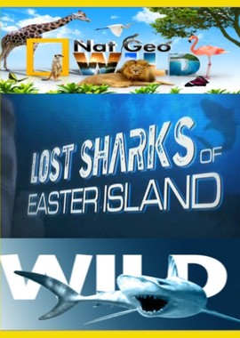 Потерянные акулы острова Пасхи