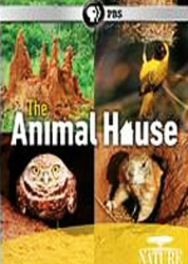 PBS: Природа - Дом животных