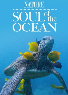 Душа океана