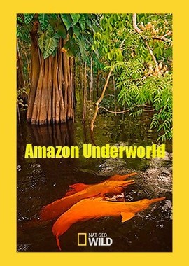 Скрытый мир Амазонки