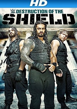 Journey to SummerSlam: The Destruction of the Shield