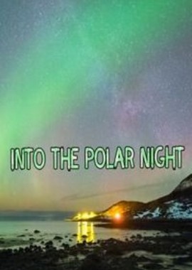 В полярную ночь