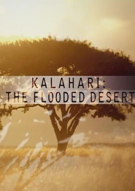 National Geographic: Калахари. Затопленная Пустыня