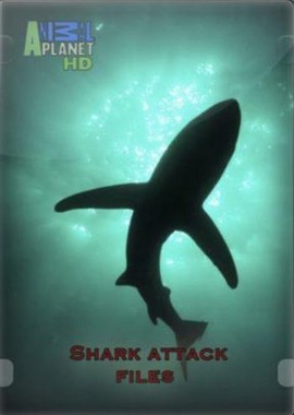 Досье акульих атак