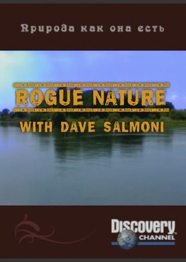 Discovery: Природа, как она есть, с Дейвом Салмони