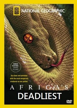 National Geographic: Хищники Африки
