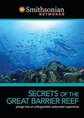 Секреты Большого Барьерного рифа