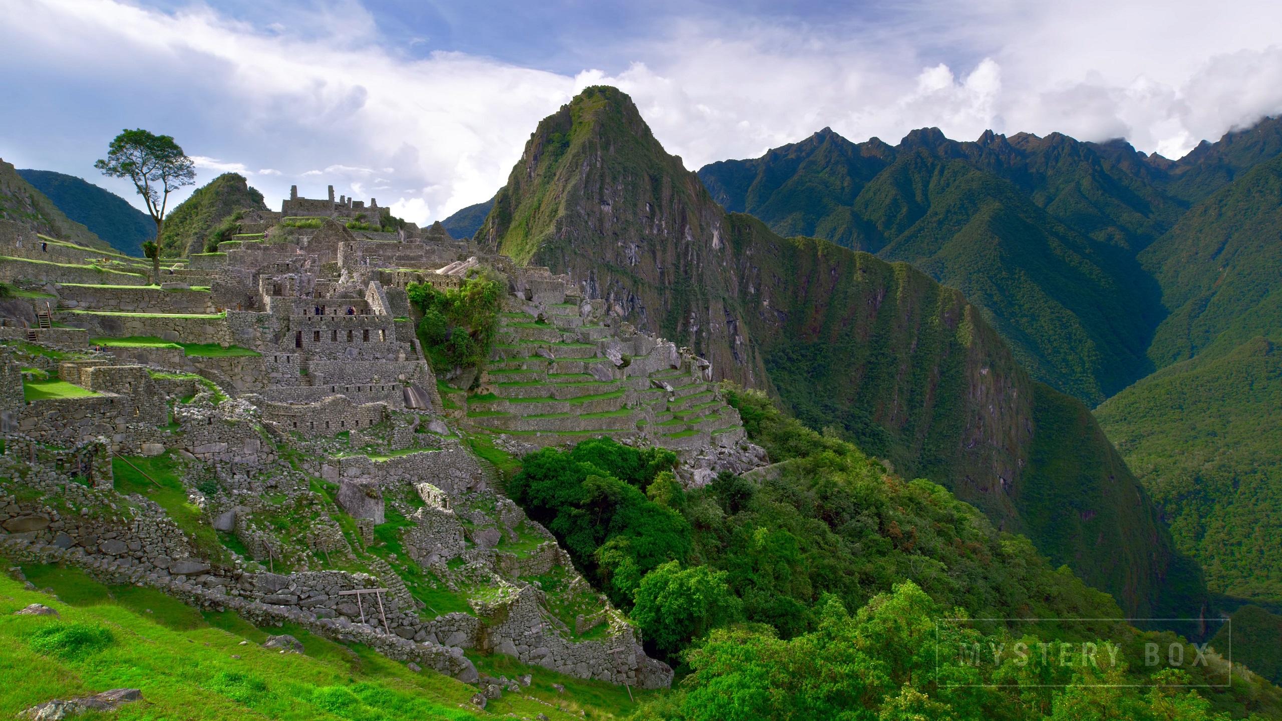 Dark Markets Peru