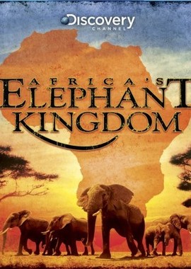 Discovery: Королевство африканского слона