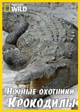 National Geographic: Ночные охотники. Крокодилы