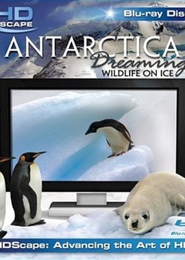 HDScape: Антарктика - Дикая жизнь на льду