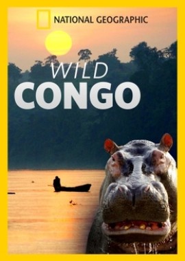 Дикая река Конго