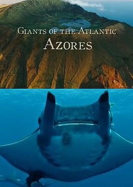 Морские гиганты Азорских островов
