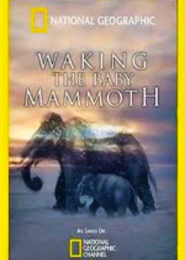 National Geographic: Мамонтёнок: застывший во времени